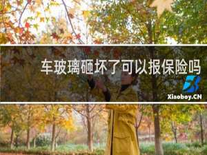 车玻璃砸坏了可以报保险吗