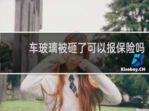 车玻璃被砸了可以报保险吗