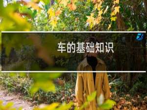 车的基础知识