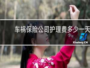 车祸保险公司护理费多少一天