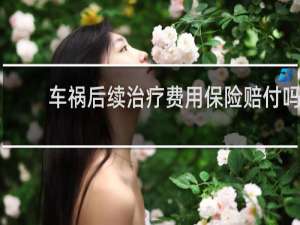 车祸后续治疗费用保险赔付吗