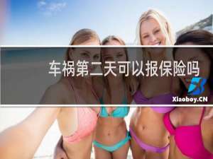 车祸第二天可以报保险吗