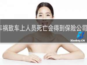 车祸致车上人员死亡会得到保险公司赔偿吗