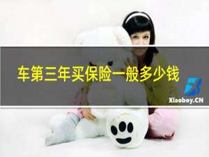 车第三年买保险一般多少钱