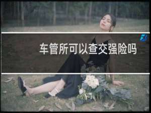 车管所可以查交强险吗
