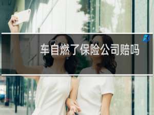 车自燃了保险公司赔吗