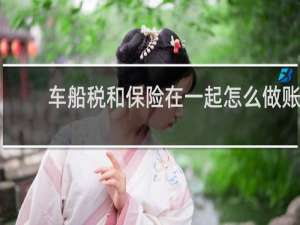 车船税和保险在一起怎么做账