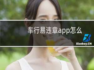 车行易违章app怎么关闭声音提醒?