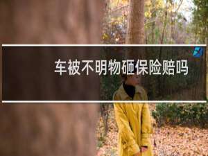 车被不明物砸保险赔吗