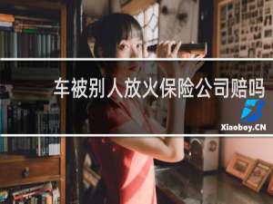 车被别人放火保险公司赔吗