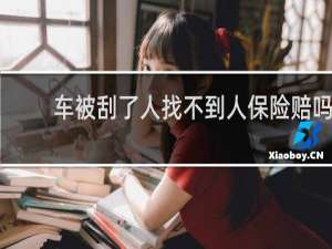 车被刮了人找不到人保险赔吗