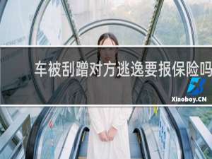 车被刮蹭对方逃逸要报保险吗