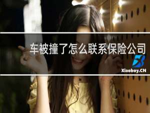 车被撞了怎么联系保险公司