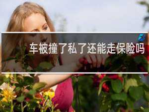 车被撞了私了还能走保险吗