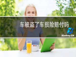 车被盗了车损险赔付吗