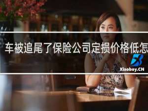 车被追尾了保险公司定损价格低怎么办