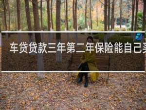车贷贷款三年第二年保险能自己买吗