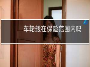 车轮毂在保险范围内吗