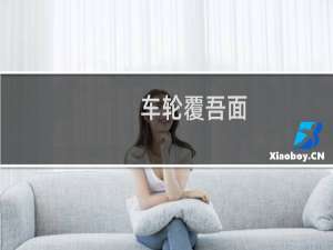 车轮覆吾面，甚痛什么梗