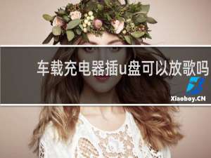 车载充电器插u盘可以放歌吗