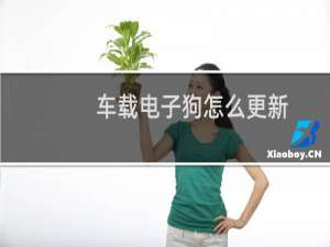 车载电子狗怎么更新