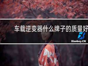 车载逆变器什么牌子的质量好