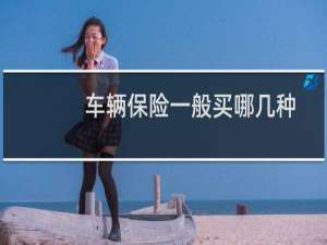 车辆保险一般买哪几种