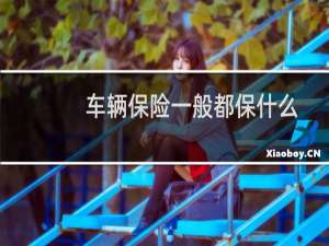 车辆保险一般都保什么