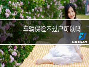 车辆保险不过户可以吗
