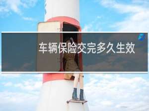 车辆保险交完多久生效