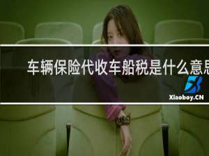 车辆保险代收车船税是什么意思