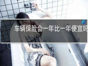 车辆保险会一年比一年便宜吗