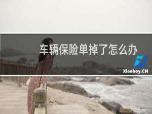 车辆保险单掉了怎么办