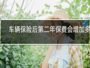 车辆保险后第二年保费会增加多少