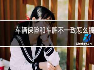 车辆保险和车牌不一致怎么搞