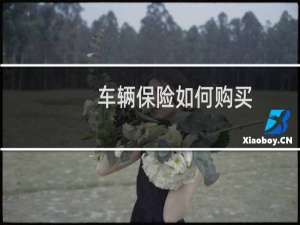 车辆保险如何购买
