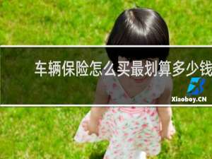 车辆保险怎么买最划算多少钱
