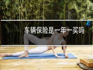 车辆保险是一年一买吗
