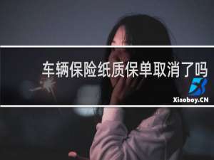 车辆保险纸质保单取消了吗