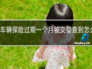 车辆保险过期一个月被交警查到怎么处罚