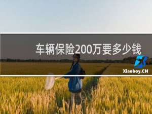 车辆保险200万要多少钱