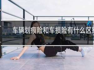 车辆划痕险和车损险有什么区别