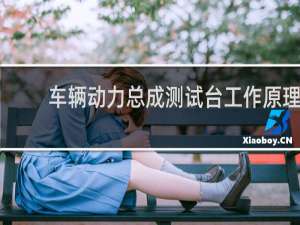 车辆动力总成测试台工作原理