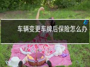 车辆变更车牌后保险怎么办