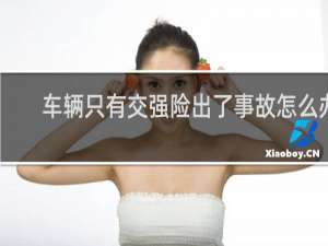 车辆只有交强险出了事故怎么办