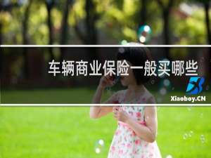 车辆商业保险一般买哪些