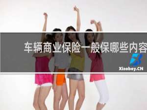 车辆商业保险一般保哪些内容