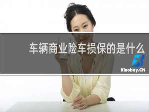 车辆商业险车损保的是什么