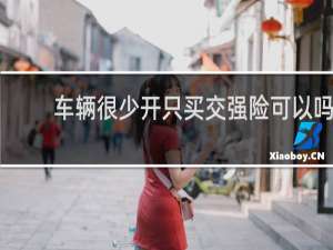 车辆很少开只买交强险可以吗