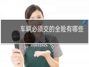 车辆必须交的全险有哪些